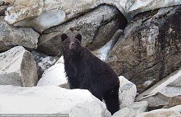 ������� � ������� ������ �������� �� ������