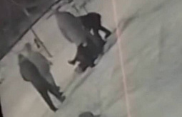 � ���������� ���� � ����-��� ���� ������ ������ ��������� � ���������