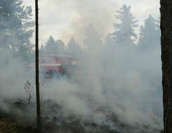 ���� � ������� ������ �� ������