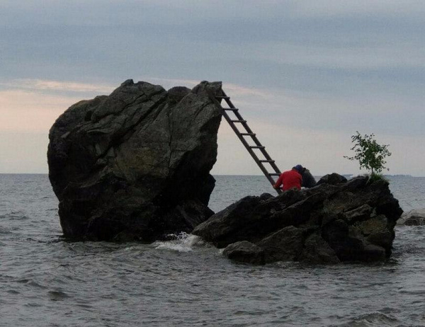 � ������� �� ����������� ��������� �������� �������� ����� �����