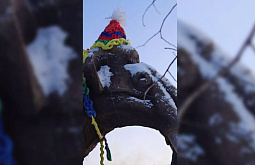 � �������� ������� ������� ����� ������� 