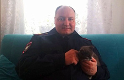 �����, �������� �� ������ � ����, ������� ������������ ����������� �� ����-��� 