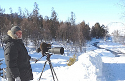 ��������� ���������� �������� ���� ������� ������������� ����������� 