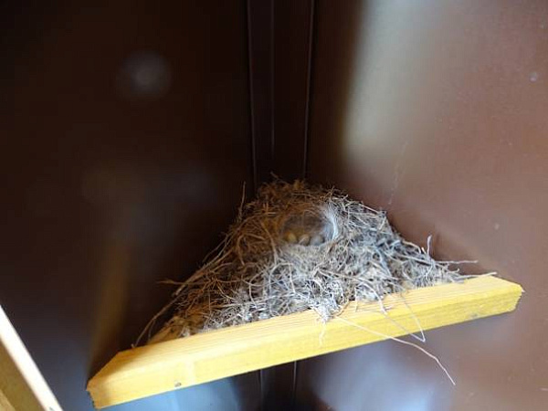 �� ������� ������ ����� ������ � ������� 