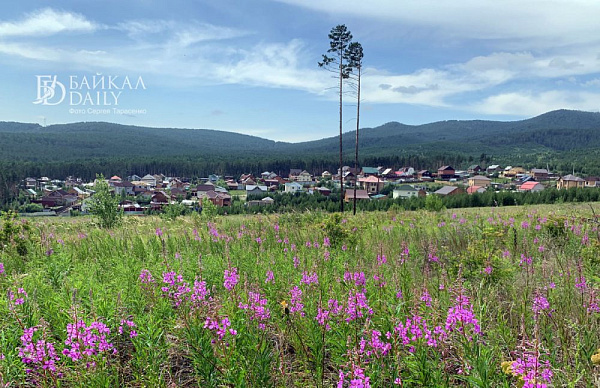 ������� ������� ����� �������� ������� ��������� ���� � ������