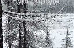 ������� ������: �� ���������� ����� � ������� �� ����� ������� ����