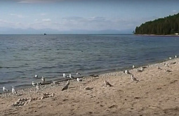 ����� � �������� ������� ���������� �� ������ ����� ������ 