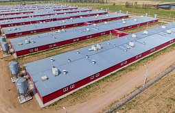 ������������� ���������-��������� ����� � ������� ���������� ����������� �������