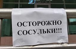 ����-������� ���� ������ �� ���������� �����