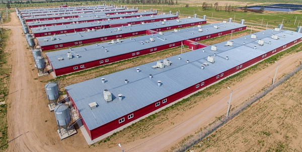 ������������� ���������-��������� ����� � ������� ���������� ����������� �������