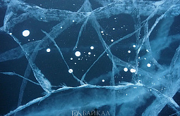 ������� ��������� �� ������� ������� �� ��������� ������