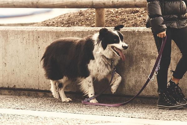 ������� ����-��� ��������� ���������� ����� �� ����� 