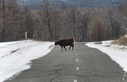 � ������� ����� ������ ������������ ����������� ����� � �������