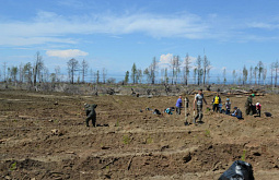 ���������� ����������� ������� �������� ������� 