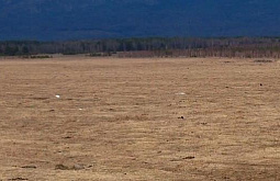 � ������� ������ ������������ ���������� ���������� � �������������