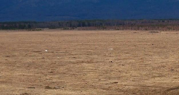 � ������� ������ ������������ ���������� ���������� � �������������