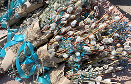 � ����-��� �������� �������� ������� �����������