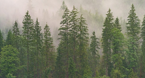  ​���� ������� ����� ������ ������ ����������� ��� �ү������ ������ �������