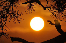 ��� �������� ������� ������� ���������� ������ ���� 