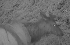 � �������� ������� ���������, ��� ���������� ������� ������