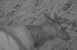 � �������� ������� ���������, ��� ���������� ������� ������