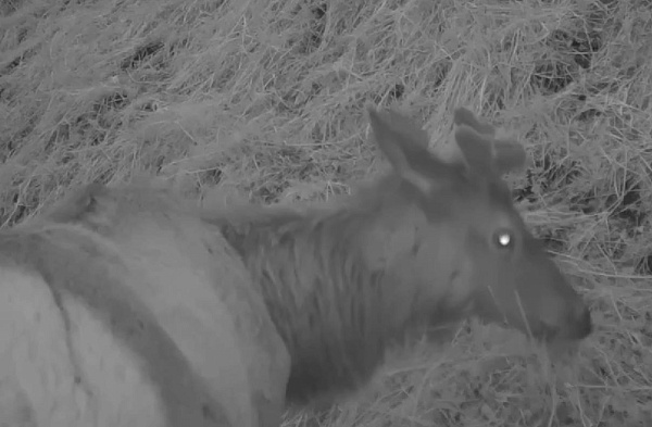 � �������� ������� ���������, ��� ���������� ������� ������