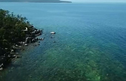 ������ �����: ���� ����� � ��������?�  