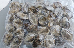 � ��������� ������� �������� ����� ����� ������� ������� � ����� 