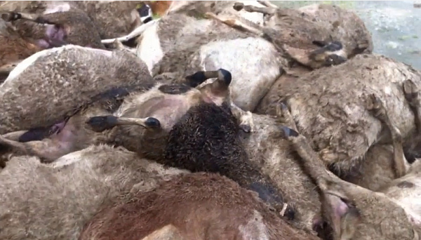 �� ������ ������� ����� �������� ������ ������� 