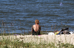 �������� ����� ������� ������� ��������� �� ������� � ���� � ��������