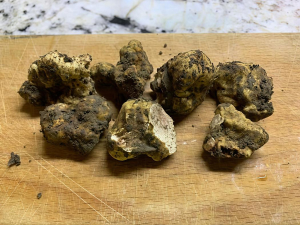 ��������� ������� ������� ���������� � ������ ����������� �������