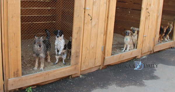 � ����-��� �������� ����� ��� ���� ����� �����