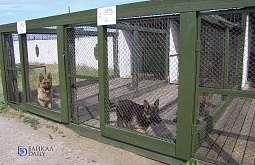 ������ ����� � ���� ����� ��������� ��������