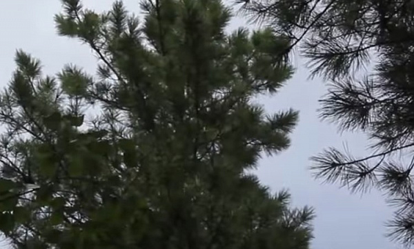 � ������� ��������, ��� ����� ������� ������ ����� 