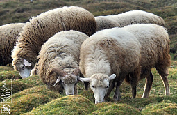 � ������� ��������� ���� ������ �� ����� ������������-2024� 