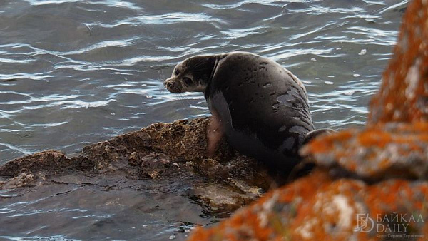 ̸����� ����� ����� ����� �������� ��������� �� ������ 