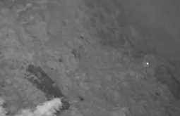 � �������� � ������� ������ �����