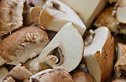 �� ������������ � ��������� ������� ������� ����� ������� ��������� ������