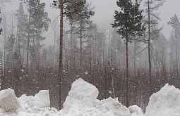 � ��������� ������� �������� ������� �����