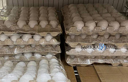 ������� ������� ������������ ���� ����