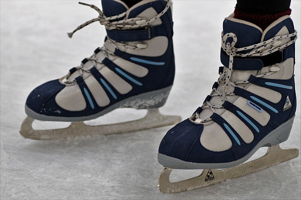 � �������� � 2019 ���� ������ ������� ������� ������