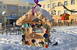 В Бурятии проходит конкурс «Гости у моей кормушки»