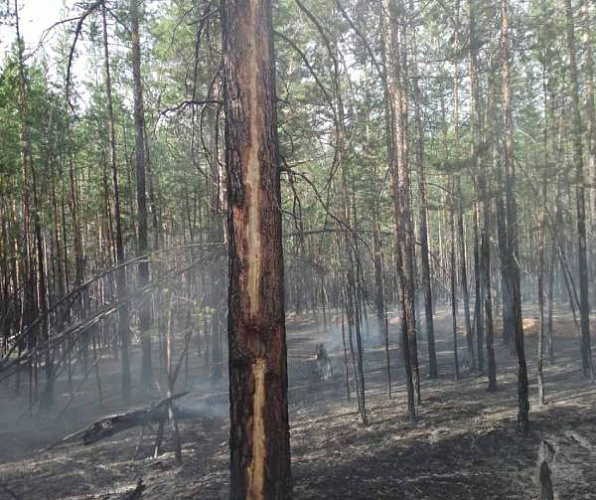 � ������� �������� 8 �� 11 ������ ������� 