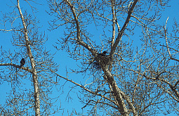 ����� � ������� �������� � 30-��������� �������