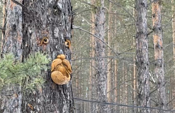 На тропе здоровья в Улан-Удэ появились «духи леса»