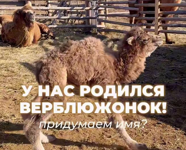 � ������� ������������ ������ ��������� ��� ������������� �����������