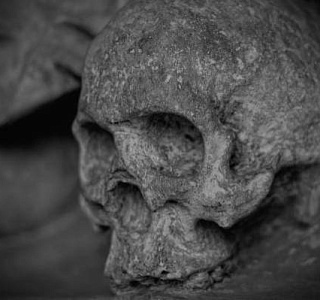 В Улан-Удэ рабочие откопали человеческий череп