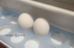 ������� ������� �������� �� ������� ���� � ������ ������������ 