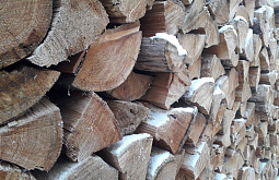 � ���������� ����������� ��������� ���������� ������� ������������ ���