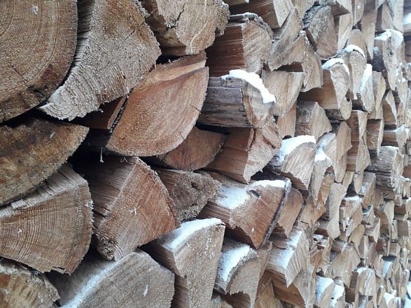 � ���������� ����������� ��������� ���������� ������� ������������ ���